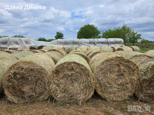 Продавам ролонни бали влажна люцерна, снимка 7 - За селскостопански - 54483625