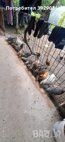 Продавам пилета