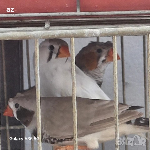 продавам или бартер 