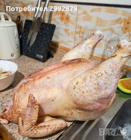 Продаваме домашни бройлерчета