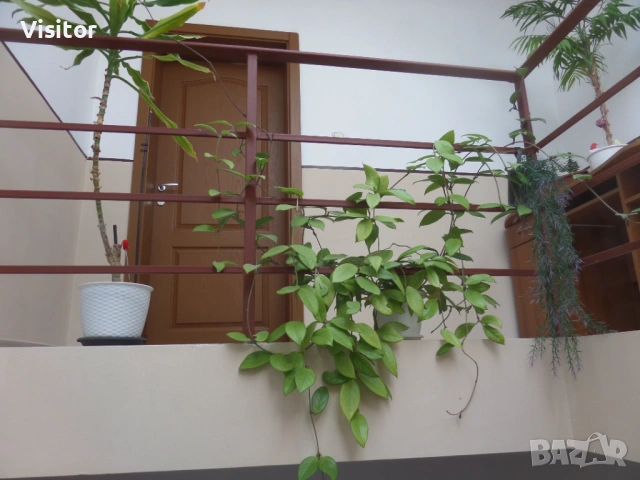 Samsung WB250F  14 мрХ, снимка 15 - Фотоапарати - 54186826