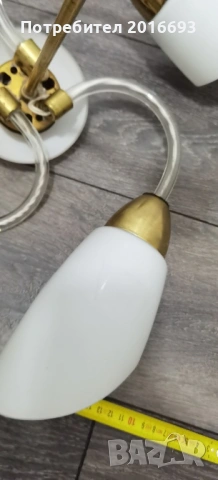 Полилеи, снимка 6 - Полилеи - 54249835