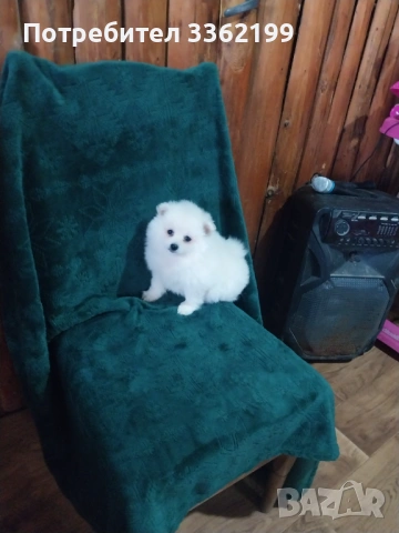 Момиче на 2 месеца