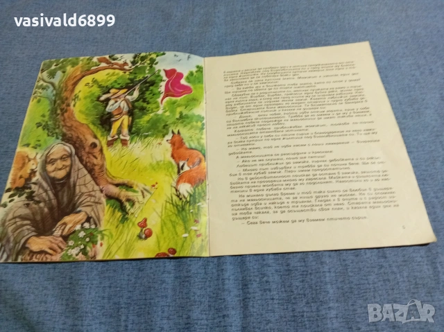 Братя Грим - Вълшебният плащ , снимка 5 - Детски книжки - 54982043