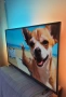 4K Смарт Philips 43" с 3-странен Ambilight , снимка 1