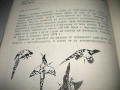 Книга за ловеца и риболовеца - 1977 г., снимка 9