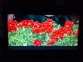 LG V8806DVX DVD/VHS-Videorecorder, снимка 17