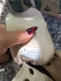 Puma, Adidas, Converse, Vty, снимка 12