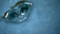 Диамант, Moissanite 100 faceted cut, със сертификат, гравиран номер на камъка - 35 евро - 1 карат, снимка 12
