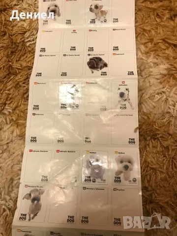 The Dog Chipicao Album - Чипикао Кучешки Албум - колекционери!, снимка 3 - Колекции - 55695643