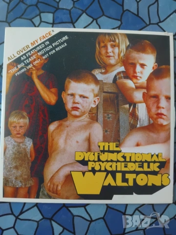The Dysfunctional Psychedelic Waltons - All Over My Face - оригинален диск музика