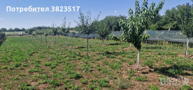 ПРОДАВАМ ПАРЦЕЛ 2800 кв. м, снимка 4 - Парцели - 55089305