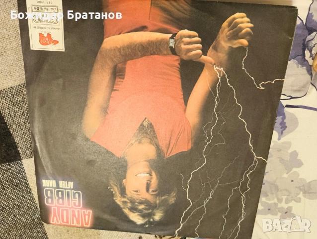 грамофонни плочи , снимка 10 - Грамофонни плочи - 54008459