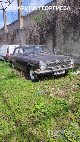 ВОЛГА 24