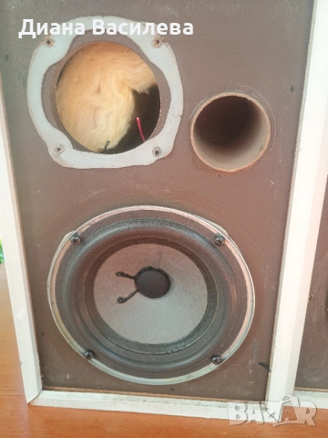 Bose interaudio-1000, снимка 3 - Тонколони - 54878395