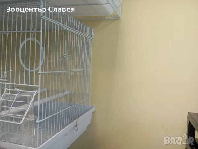 Воалиера, клетка за птици , снимка 3 - Папагали - 55579557