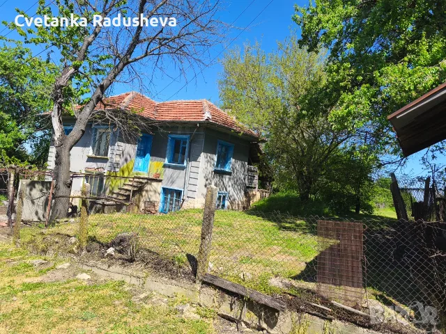 Продавам къща и двор с изглед към р. Дунав, снимка 4 - Къщи - 55469993