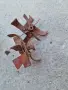 Мотички Мотофреза, снимка 3