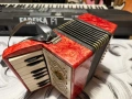 Руско акордеонче, снимка 7