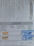 чихуахуа , снимка 11