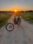 Yamaha yz450f 2009, снимка 12