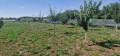 ПРОДАВАМ ПАРЦЕЛ 2800 кв. м, снимка 4