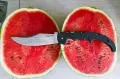 ОРИГИНАЛЕН Cold Steel Espada XL, снимка 1