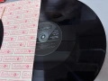 Бокс /сет/ от 5 грамофонни плочи Ян Френкел (Yan Frenkel), снимка 6
