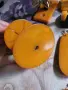 каталин. кехлибар., снимка 8