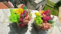 Дървени кашпи със скандинавски мъх за учител , снимка 9
