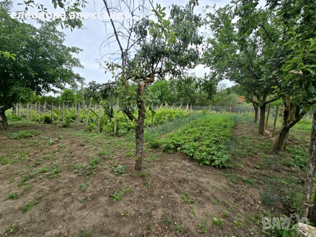 Продава се къща с двор 1,600дк., снимка 11 - Къщи - 54743937
