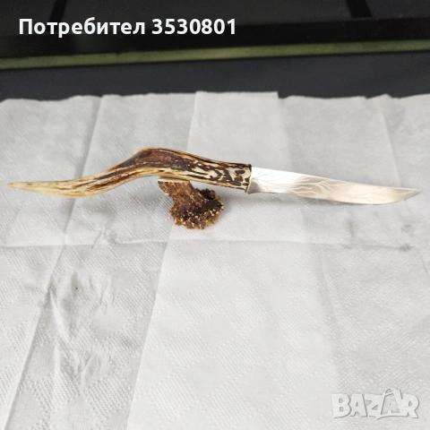 Бутиков нож Solingen , снимка 4 - Ножове - 54886425