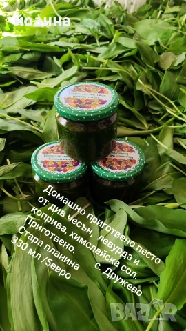 домашно песто левурда и коприва 