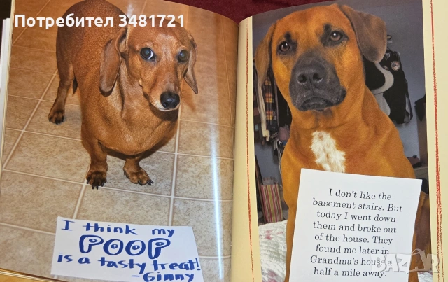 Dog Shaming, снимка 9 - Други - 55064833