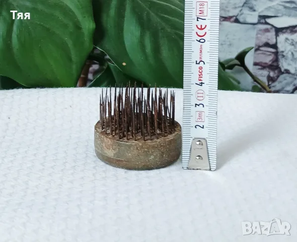 Кензани за цветя , снимка 5 - Градински цветя и растения - 55342135