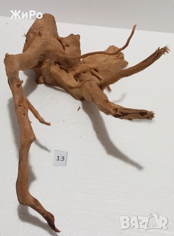 Корен от Азалия /декорация/ 13, снимка 3 - Други - 53401544