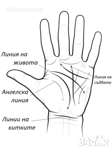  Гледане на ръка