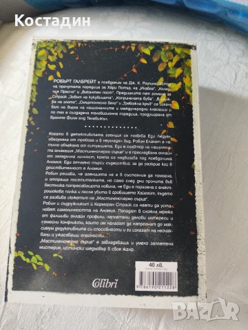 Робърт Галбрейт - Мастиленочерно сърце, снимка 4 - Художествена литература - 55259200