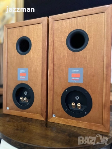 Dynaudio Contour 1.3, снимка 9 - Тонколони - 54567543