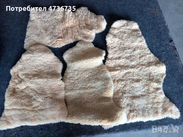 Обработени агнешки кожи 