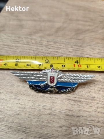 Нагръден знак от БНА