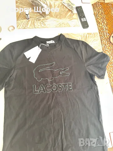 Тени Lacoste xl