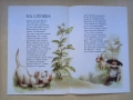 Детски книжки с приказки и красиви илюстрации, снимка 8
