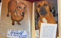 Dog Shaming, снимка 9