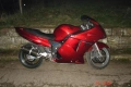 CBR 1100 XX и PAN EUROPEAN ЧАСТИ ИЛИ ЦЯЛ, снимка 1