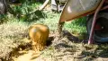Сондажи за вода, снимка 5