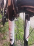 Specialized crossover women , снимка 10