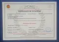 Картина маслени бои - перфектния подарък, снимка 10