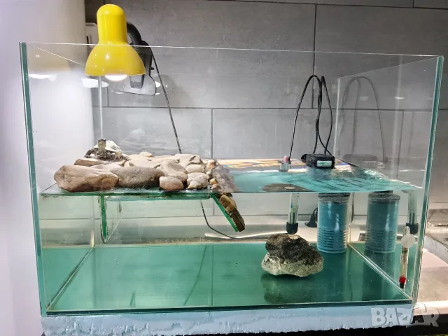 Водна костенурка с аквариум и аксесоари 