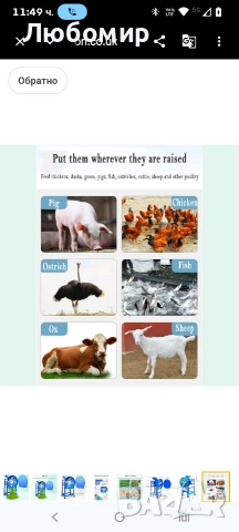 Мелница за фураж за животни, малка мелница 3.300 W за домашно отглеждане с превключвател за старт , снимка 7 - За селскостопански - 54106507